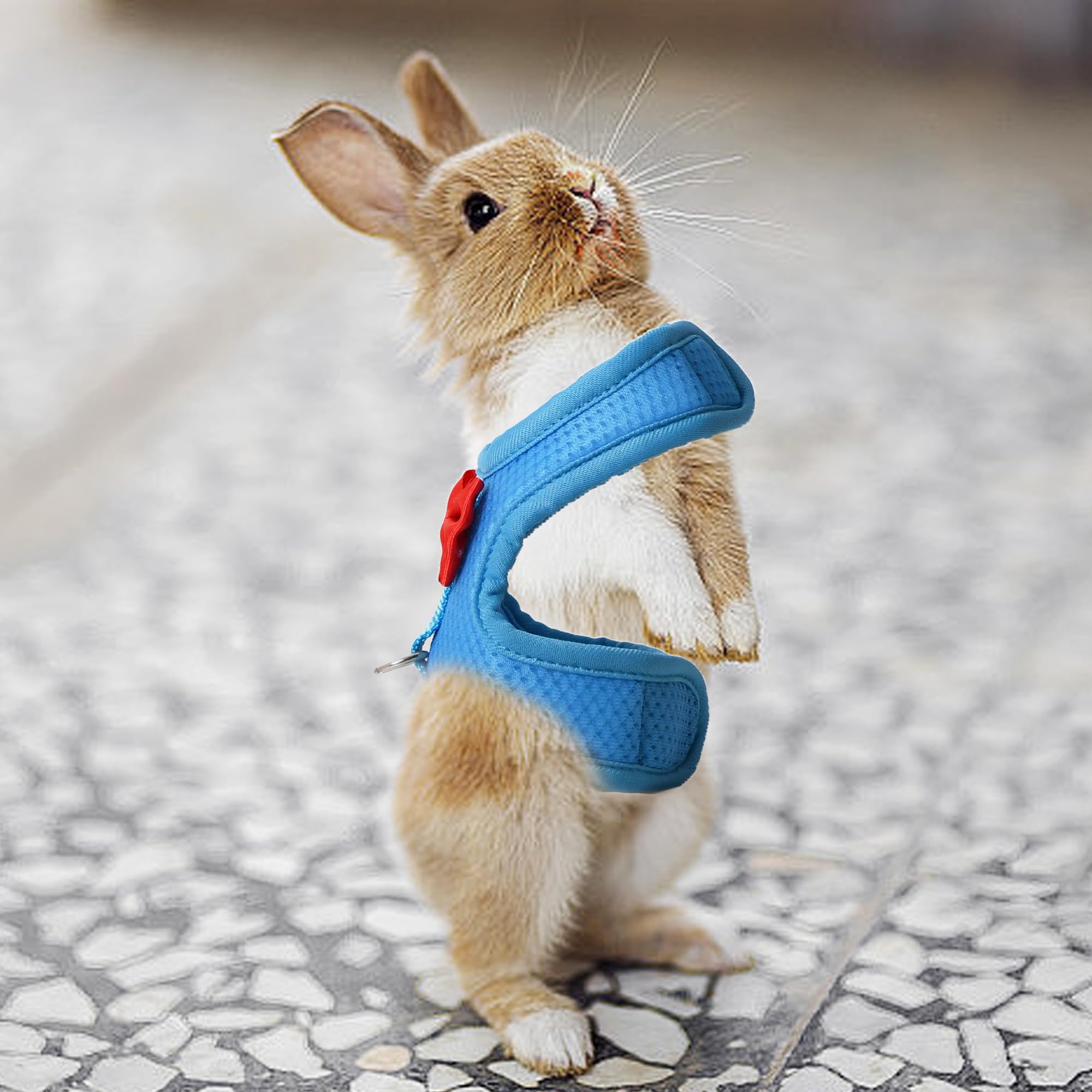 AIITLE Bunny Harness and Leash Set with Cute Bow, Soft Breathable Mesh Vest Harness for Rabbits Kitten Ferret Small Pig Puppy Wa